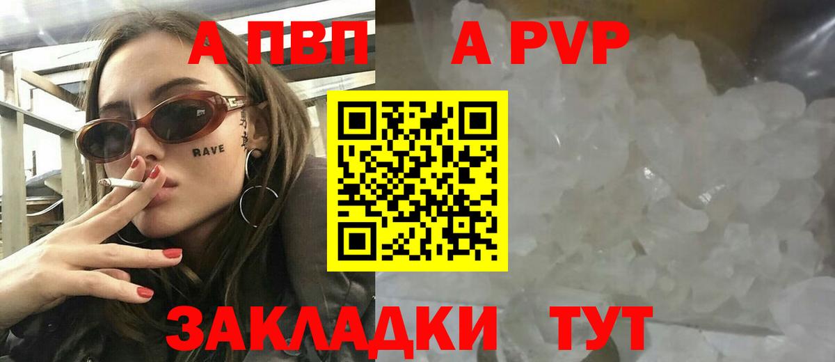 A PVP СК КРИС Курск