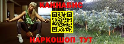 дмт Новокубанск