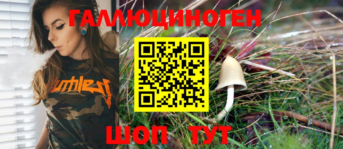 Псилоцибиновые грибы GOLDEN TEACHER Курск